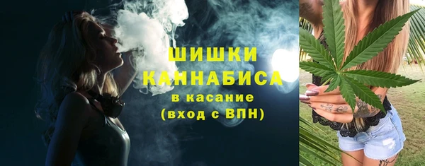 амф Вяземский