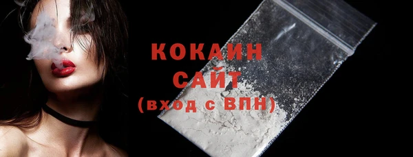 амф Вяземский