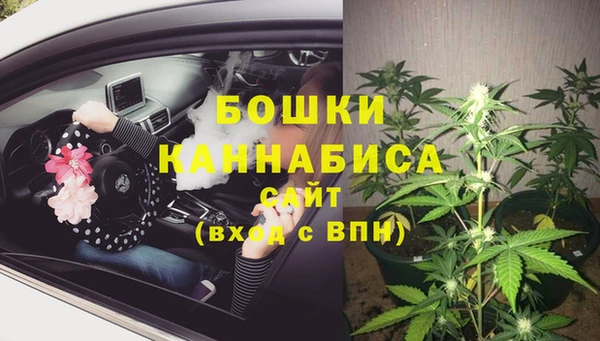 амф Вяземский