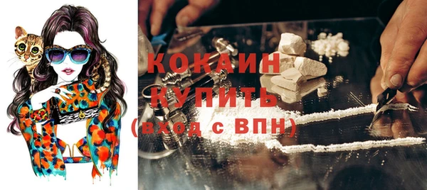 амф Вяземский