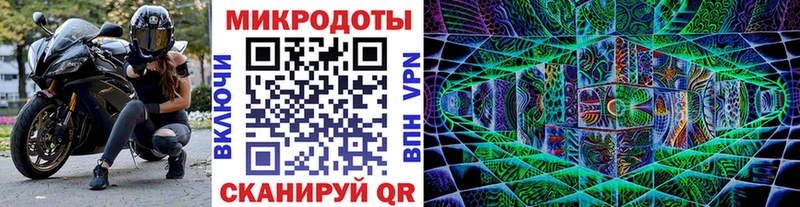 Купить где  Рославль  Псилоцибиновые грибы мицелий 
